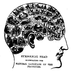 phrenology